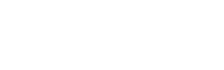 ЛЁСС